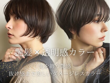 アンサ 小倉店(ANSA)の写真