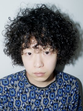 サル 代官山(SAL) 【SAL】ベイビーアフロ