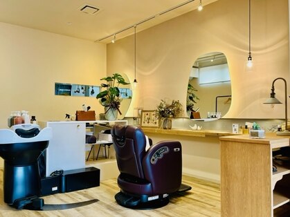 ファロ(Falo)の写真