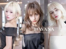ハバナ 新宿(HAVANA)