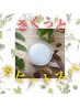 【夏季限定】モヒートスパ&シャンプーブロー♪夏の疲れをリフレッシュ