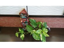 アジアンテイスト好きにはたまらない！バリ雑貨いっぱいです♪