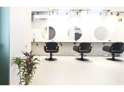 ジッカ(zicca)の写真