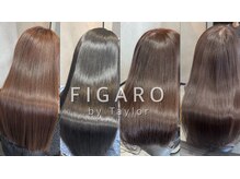 フィガロ バイ テイラー(FIGARO by Taylor)の雰囲気（史上最高の手触りへ。髪質改善の答えがFIGAROにあります）