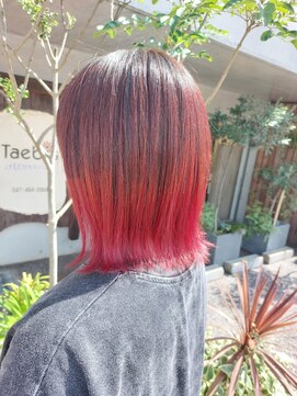 タエビスアリッサム(Taebis Alyssum) グラデーションカラー(北習志野、ピラミンゴカラー)