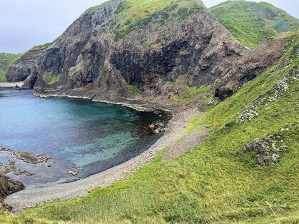 ソイル(soil)の写真