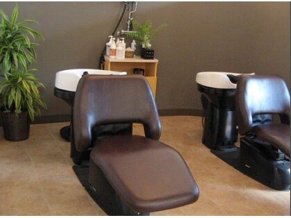 クルクル(crucru)の写真