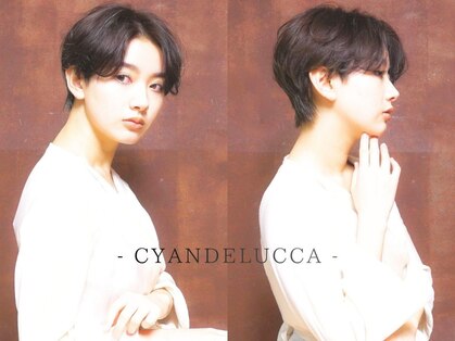シアンデルカ(CYANDELUCCA)の写真