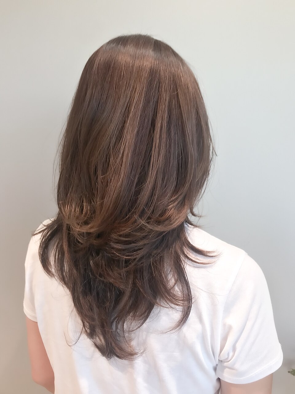 【2回目以降の方】　カット＋カラー　
