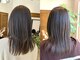 Palms Hair【パームスヘアー】【10月31日NEW OPEN(予定)】の写真