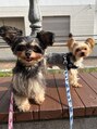 バク ヘア(BAK hair)&nbsp;ワンちゃん大好き！2匹飼ってます！
