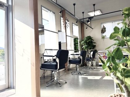 コンドウグラウンドオオイタヘアー(Kondo Ground Oita hair)の写真