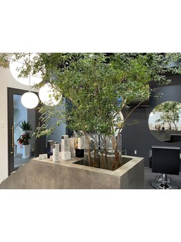 経験豊富なスタイリストがあなたの理想のスタイルを叶えます♪高技術×上質空間で至福の時間を♪