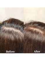 ヘアープレゴ(hair Prego) ファッショングレイカラーBefore&After