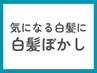 【白髪もおしゃれに楽しむ】メンズカット（眉込）＋白髪ぼかし ￥7,700