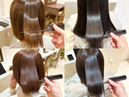 ハシゴ(hasigo.)の写真