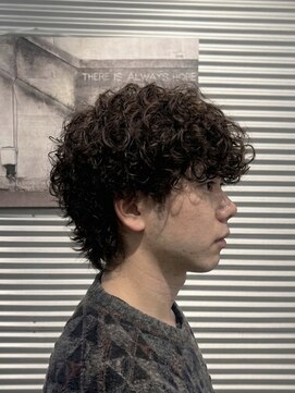 ガオプロデュースバイレボ(gao produced by revo) プードルパーマ/海外パーマ/スパイラルパーマ/スペインカール