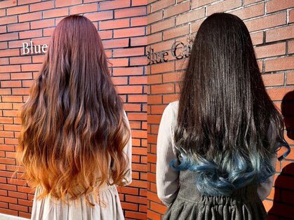 ブルーキャンバス(Blue Canvas)の写真