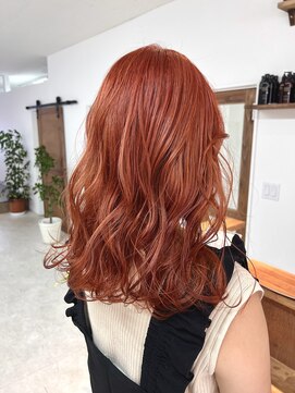 ロム(Rom.) carrot orange