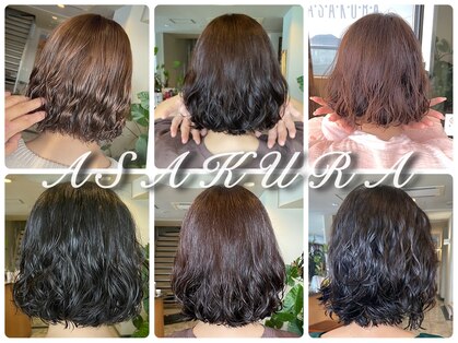 アサクラ シンキタ(ASAKURA SHINKITA)の写真