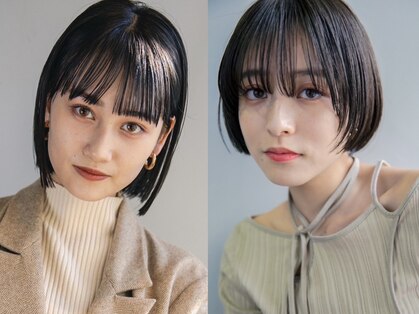 サングース(Sungoose)の写真