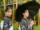 フェリーチェ(Felice)の写真/《浴衣着付け＆ヘアセット￥8,700》お友達とご来店で割引◎浴衣で花火大会や納涼船を満喫できる着付けサロン