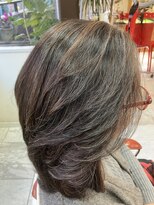 プレジール PLAISIR おとなハイライトカラー白髪ぼかし白髪染め髪質改善水素Tr