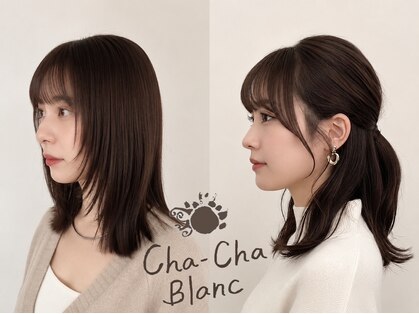 チャチャブラン(cha-cha Blanc)の写真