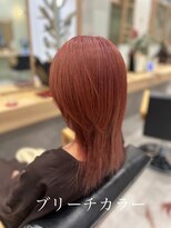 アース 武蔵境店(HAIR & MAKE EARTH) ブリーチ&イルミナカラー