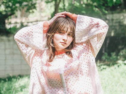 コットン(cotton)の写真