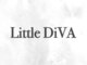 リトルディバ(Little DiVA)の写真/センス×通いやすい◎都内で経験を積んだ実力派スタイリストのお店。あなたの“なりたい”を叶えます♪