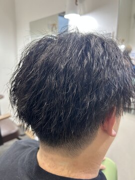 エルパライソ リフォ(Elparaiso Reff) ソフトツイスト