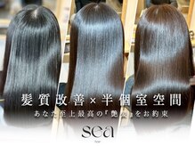 セア 新丸子 武蔵小杉(sea)