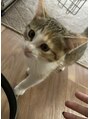 イースブルー 高松店(Y’s Blue)&nbsp;猫飼ってます