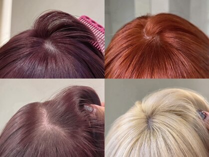 テテ ニコ(tete nico)の写真