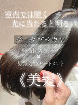 髪質改善と縮毛矯正の専門店 サンティエ(scintiller) ダークブラウン