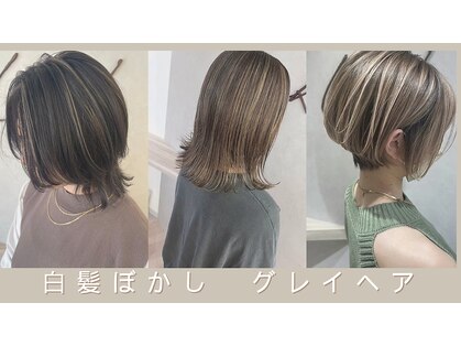 リンク(Link)の写真