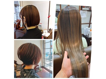 レプリュス Leplusの写真
