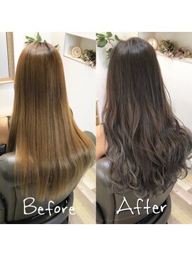 カナル(canal) スターダスト