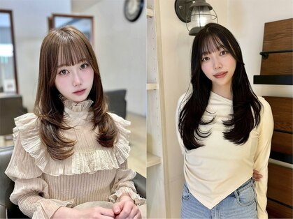 メゾン(Maison)の写真