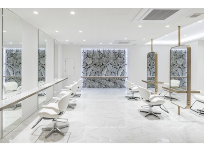 キングダム 港南台店 KINGDOMの写真