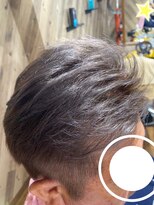 ルネッサンスヘアー ラファエロ(RAFFAELLO)&nbsp;シルバーアッシュ