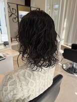 シザーズトリックス ノーブル(scissorstrix Noble)&nbsp;ウルフパーマ