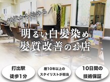 アビアン 打出店(avien)