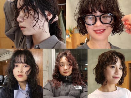 ウェウェ(wewe)の写真