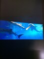 伊っ床屋 今年の夏の思い出、美ら海水族館でジンベイザメ見てきました^_^
