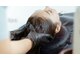 ブルームニキュウロク 富里(bloom 296)の写真