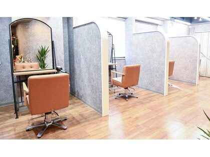 ココア(cocoa)の写真