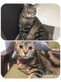 ビューメゾン(BEAU MAISON) 猫ちゃん大好きです!!猫好きの方大歓迎です!!