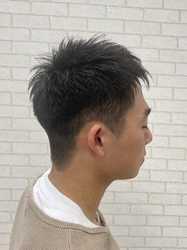 ルピナス(Lupinus) school＋カット